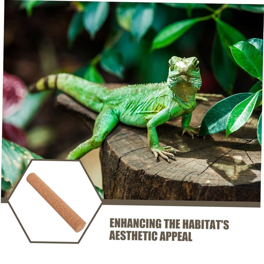 コルク樫　木の枝　3本　止まり木　爬虫類　ケージレイアウト用品 コルク樫 木の枝 3本 止まり木 爬虫類 ケージレイアウト用品